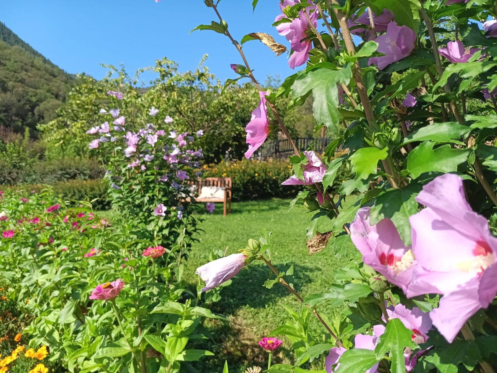 Hotel Calm & Nature - Adults Only 3*