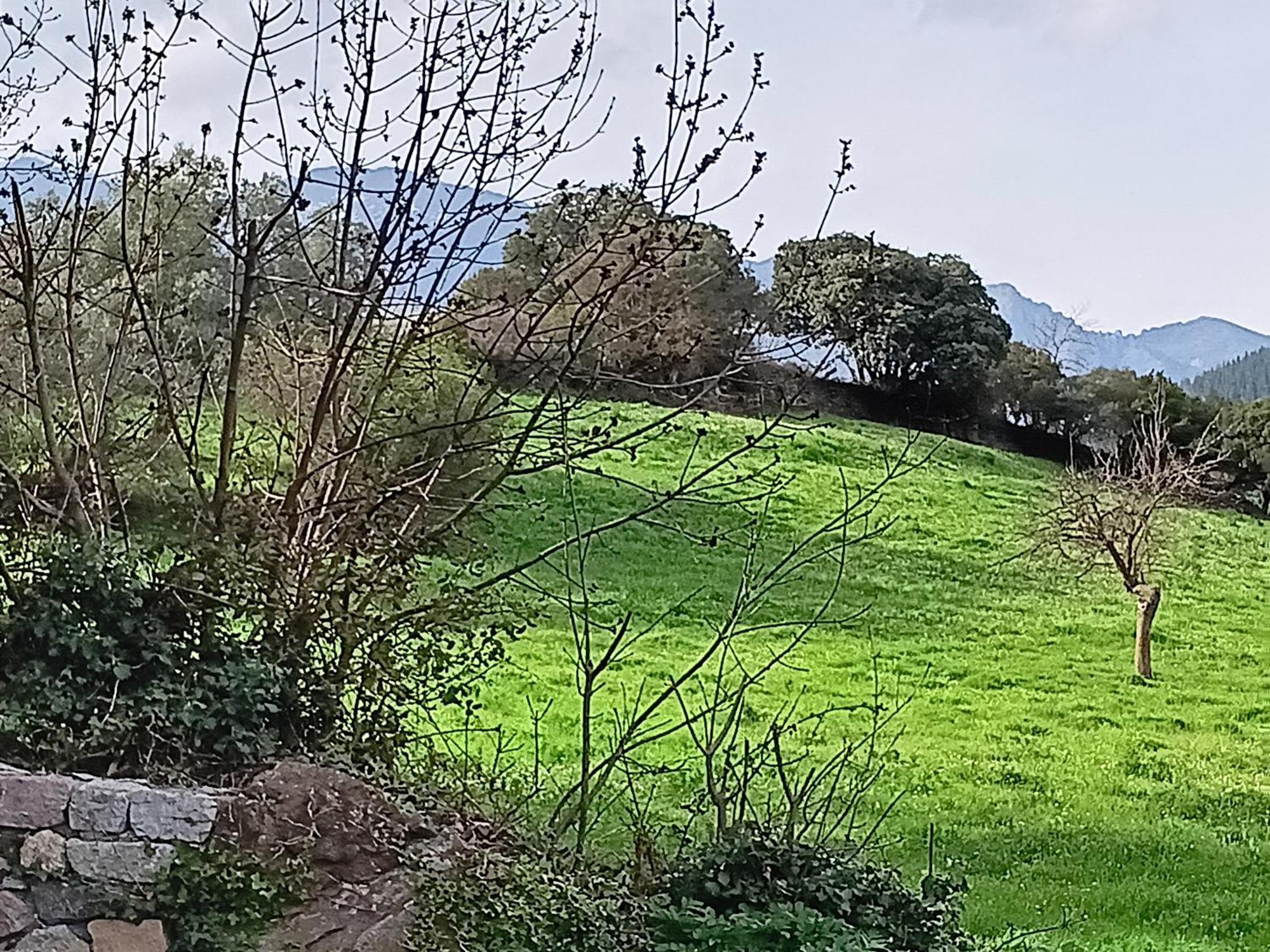 Calm & Nature - Adults Only
