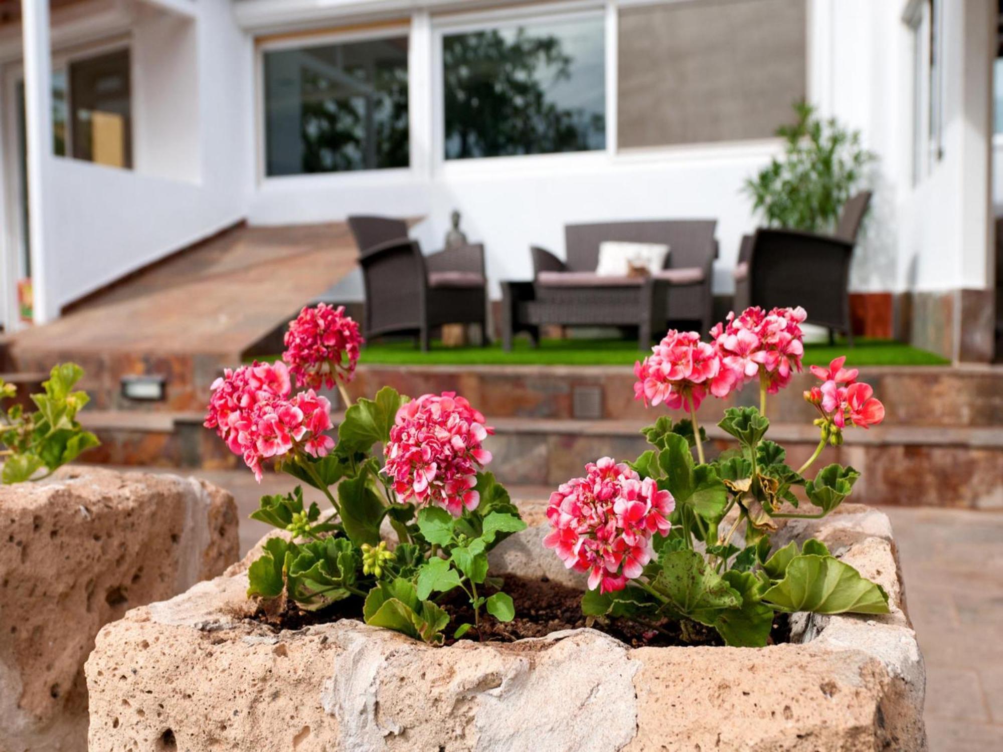 Villa Parralito By Villagrancanaria Ingenio