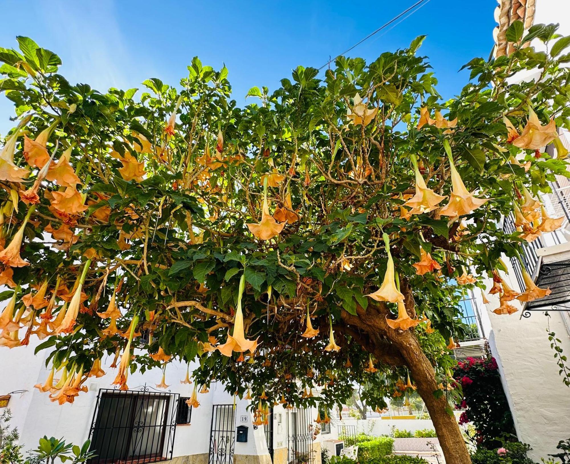 Right By The Pool Area In Capistrano Village! Apartamento