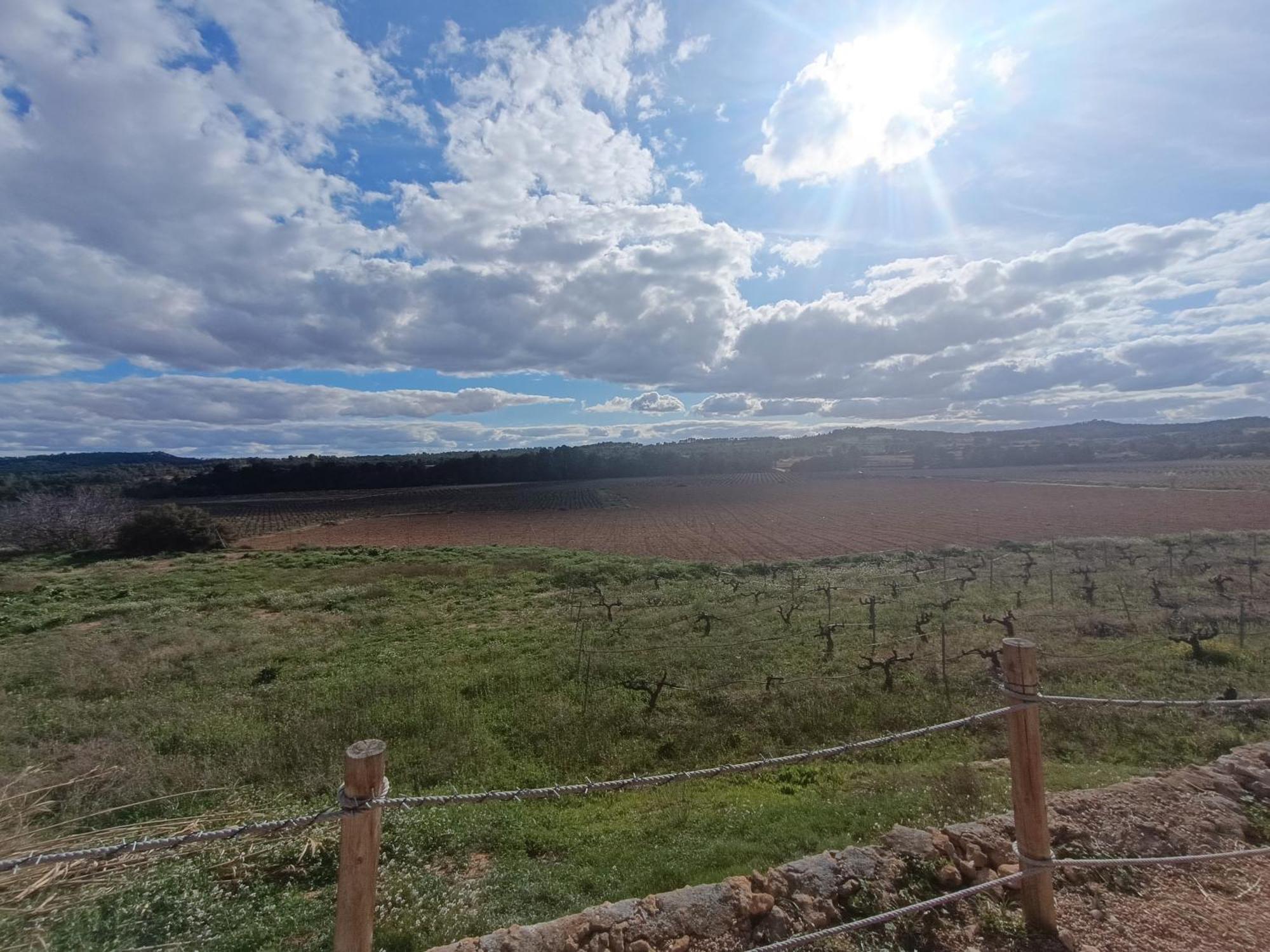 Alegria Caudete de las Fuentes