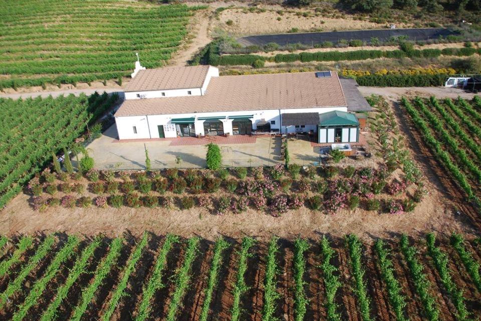 Bodegas Morosanto - Lunera La Cimada