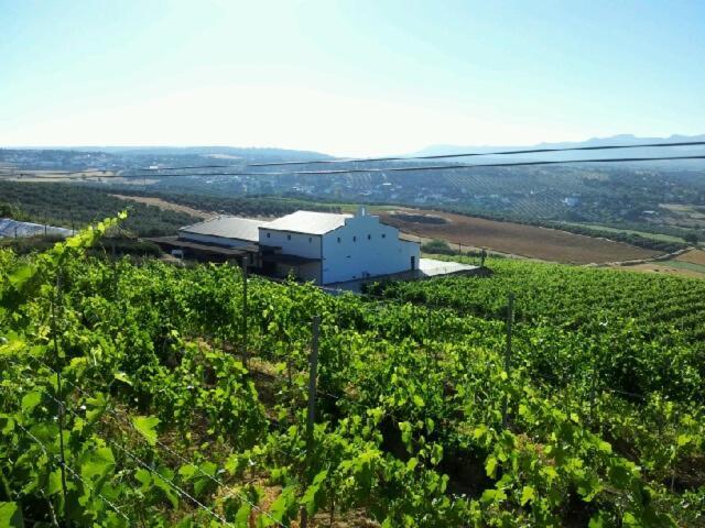 Apartamento Bodegas Morosanto - Lucio *