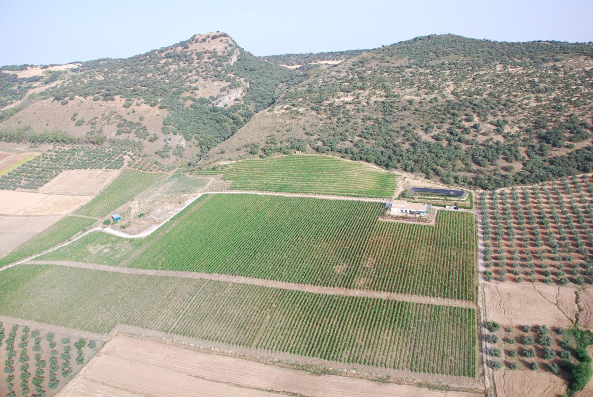 Bodegas Morosanto - Lunera * La Cimada