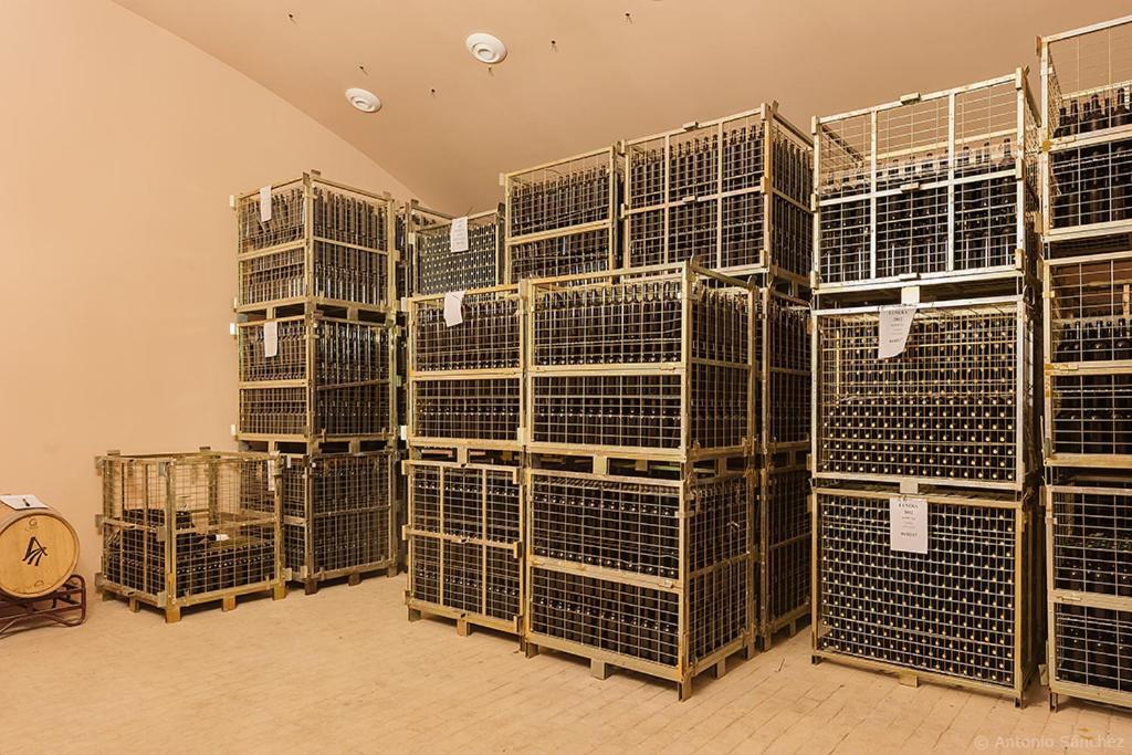 Bodegas Morosanto - Lunera *