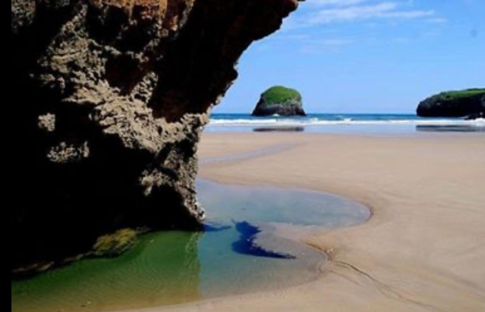 Palmeras Hotel Celorio (Llanes)