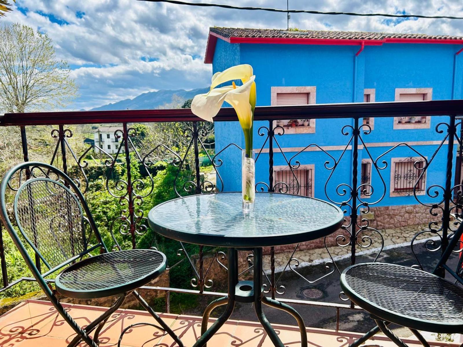 Palmeras