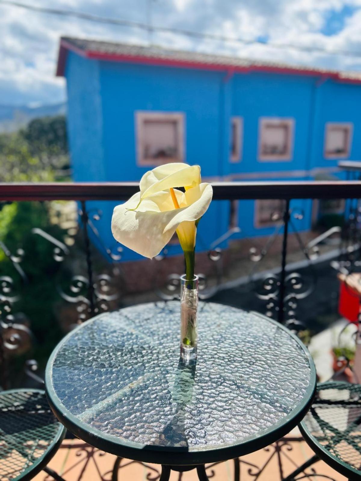 Palmeras Hotel