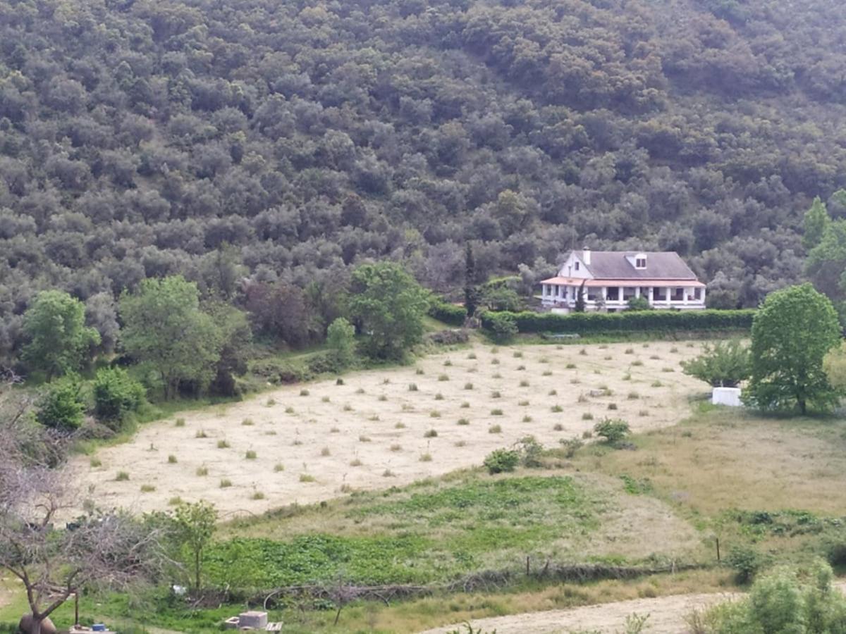 Chalet Hoz De La Pinilla Navahermosa (Toledo)