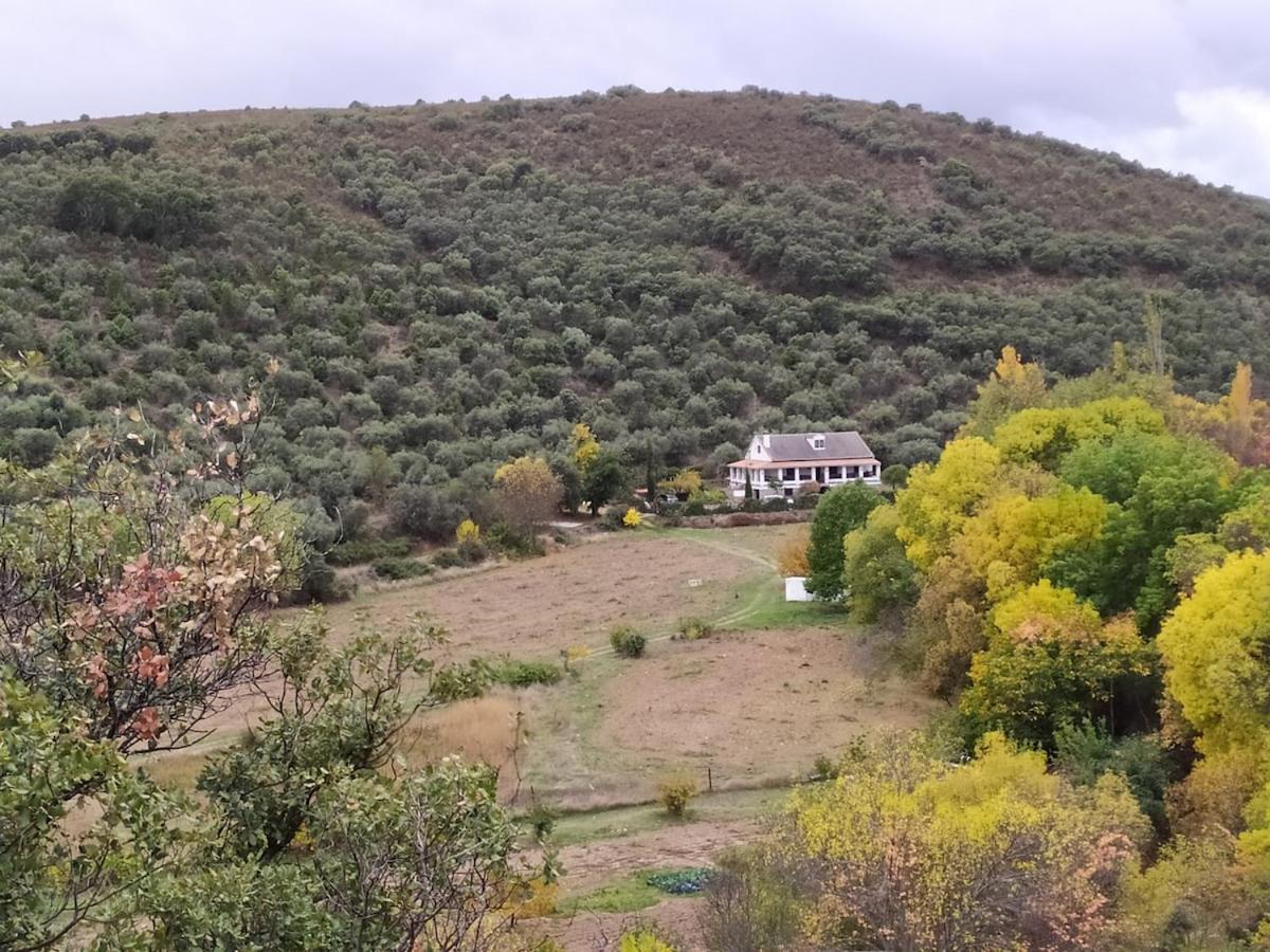 Hoz De La Pinilla