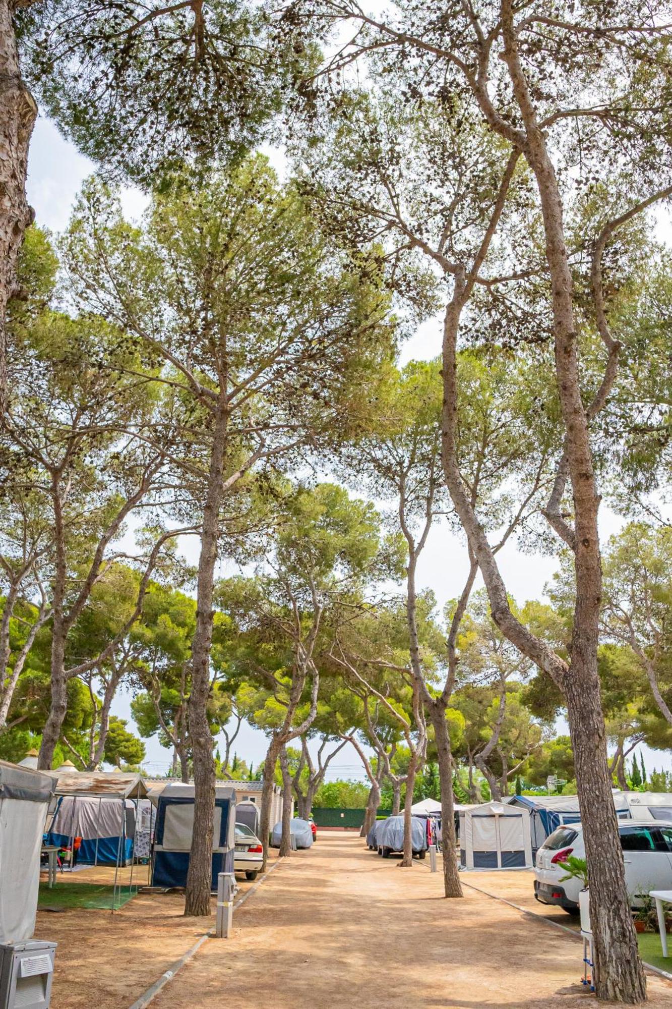 Camping Relax Sol Torredembarra