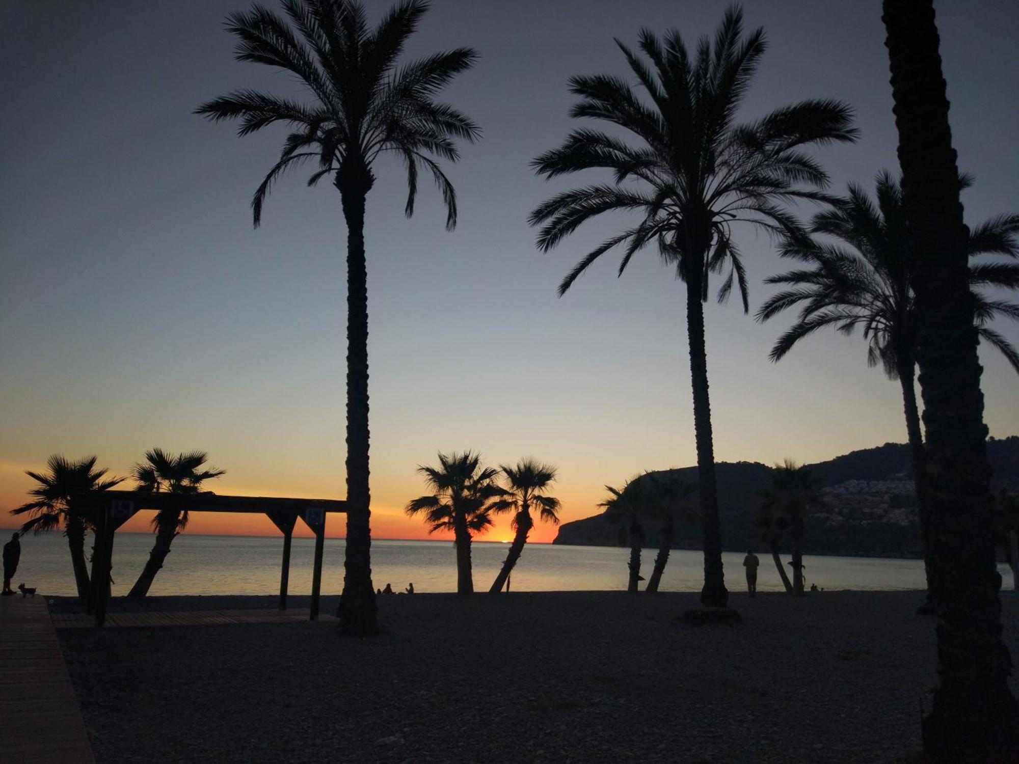 Apartment Oasis La Herradura