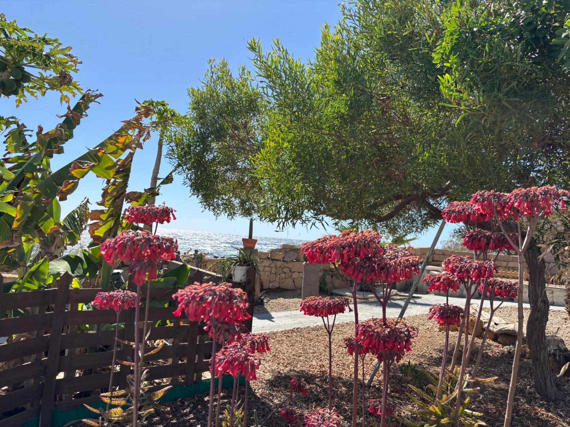 Apartamento Little Paradise In El Médano Granadilla De Abona