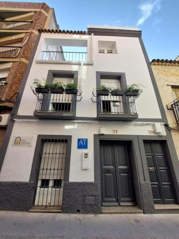 San Salvador Parking Gratis Apartamento Mérida