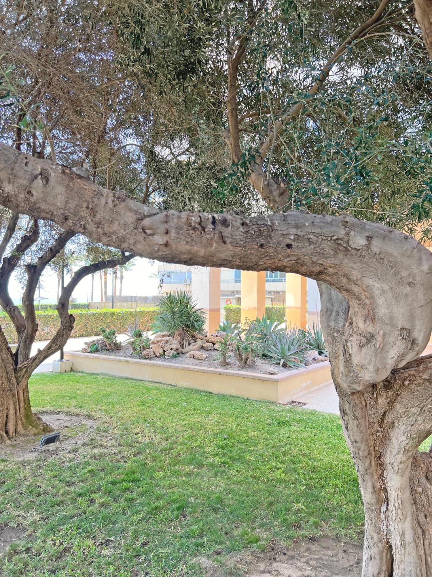 Apartamento Oasis Frente Al Mar. Parking Gratis