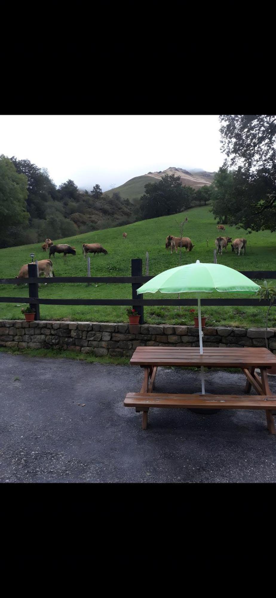 Pasiega Lo Minarro Country house *