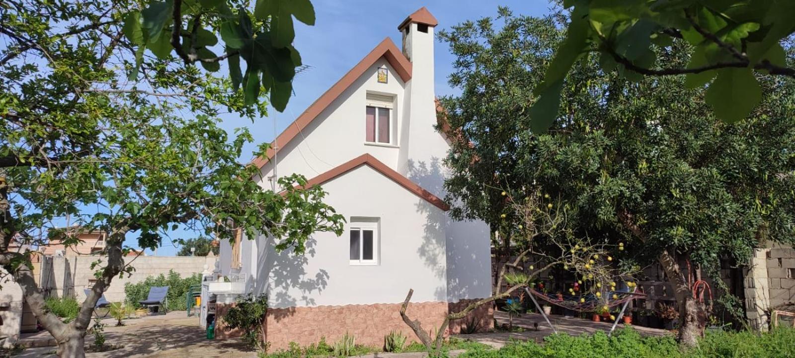 Casita De Papel *