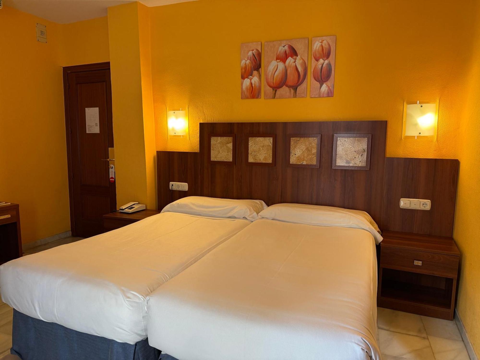 Hotel Nuevo 3*