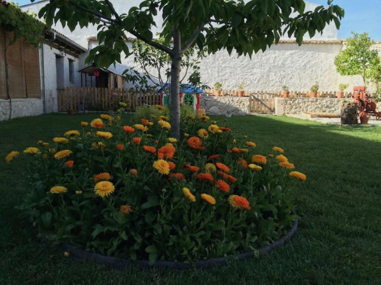 Casa Aperos Santibáñez de Valcorba