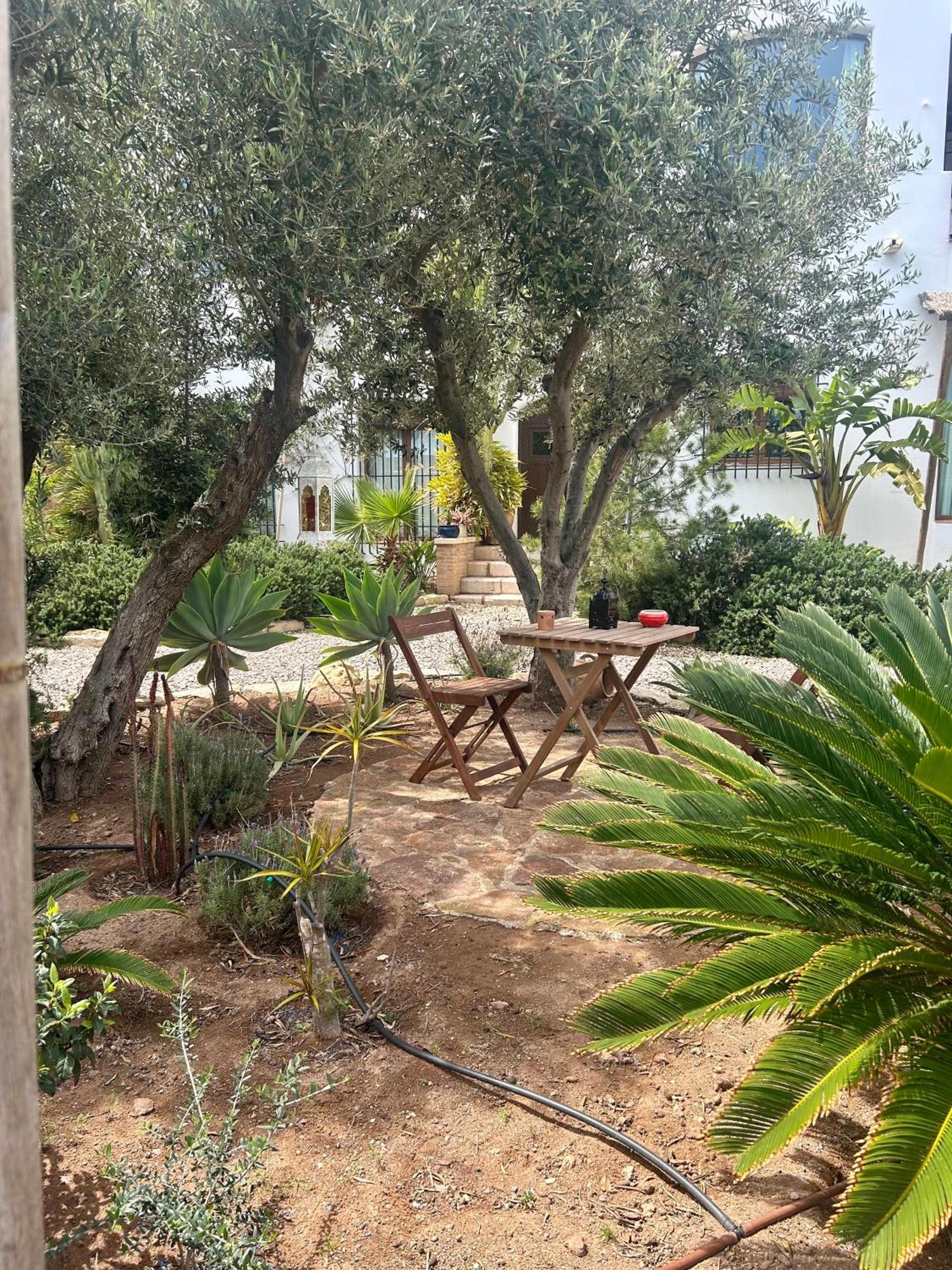 La Washingtonia Apartment *