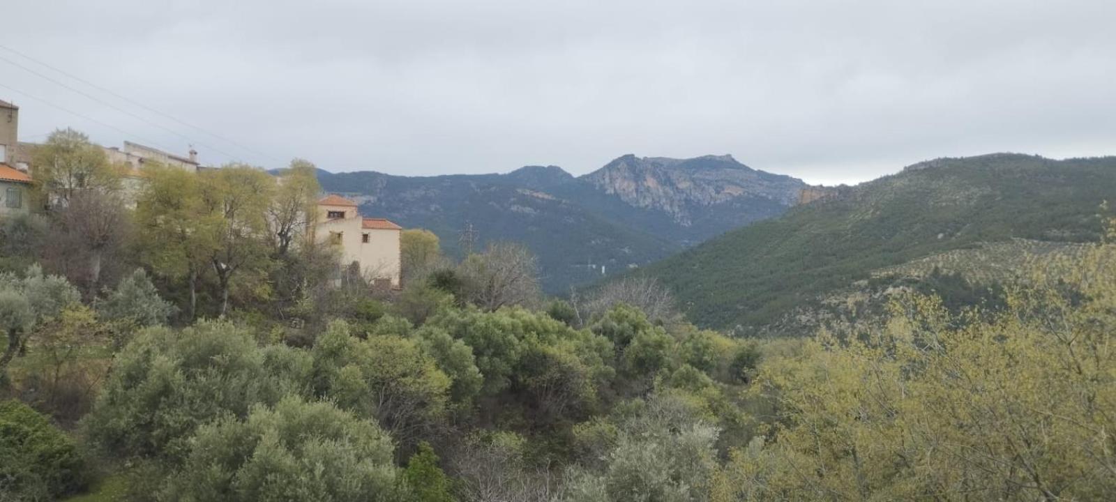 Hotel Casa Pedro 3*
