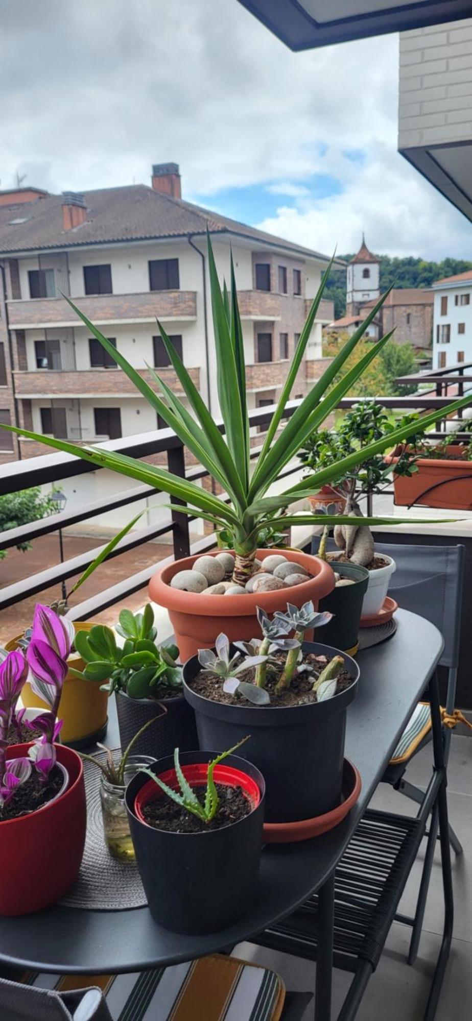 Leurtza Apartment