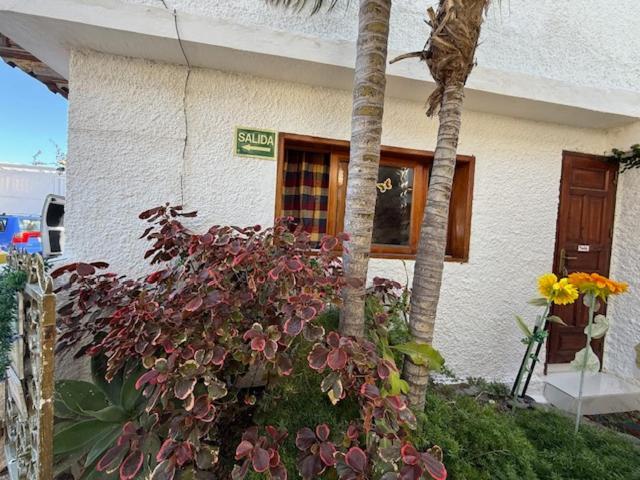 Willkommen Im Paradies - Welcome In Paradise - Bienvenidos Al Paraíso Habitación en casa particular La Matanza De Acentejo