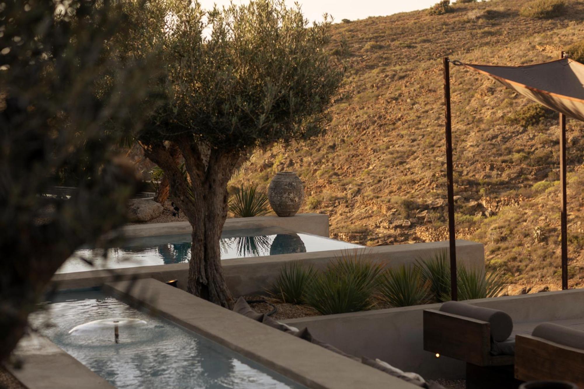 Ecohotel El Agua * Arico el Nuevo