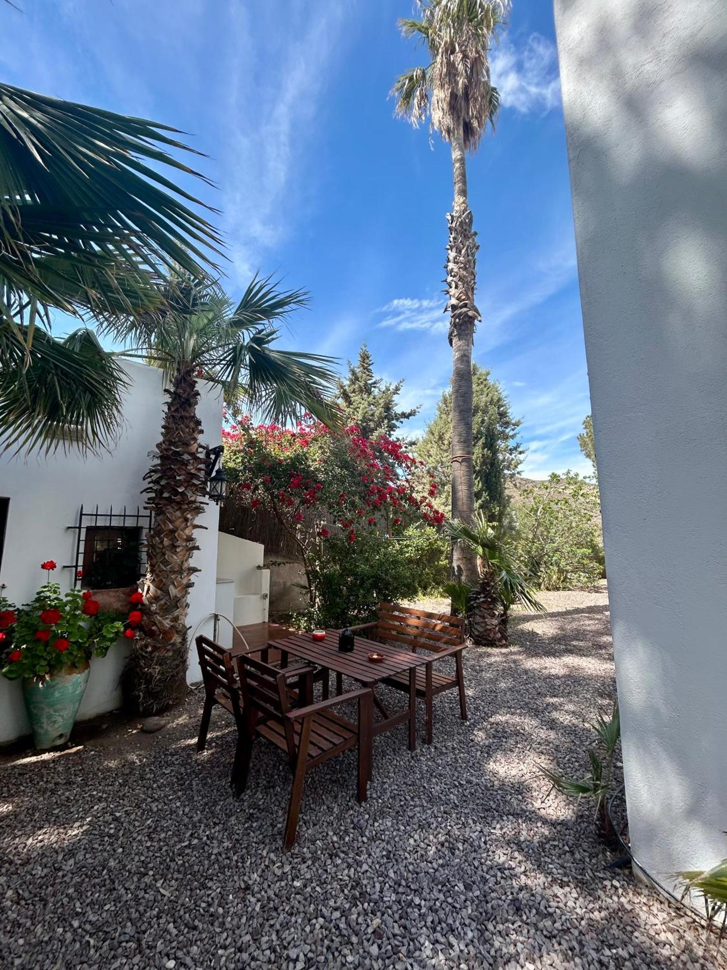 La Washingtonia Apartment Las Negras