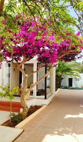 Apartamento Sofía Playa Ibiza Es Cana