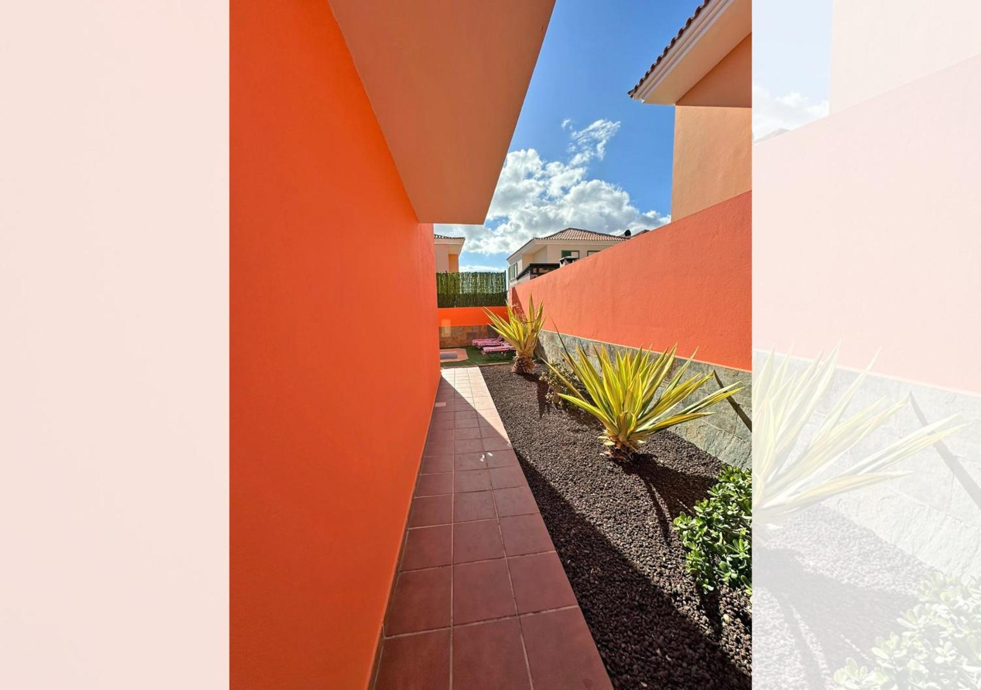 Garden *