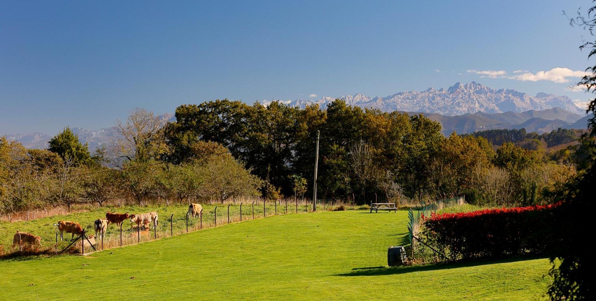 El Gran Sueno Boutique & - Adults Only Country house Pintueles