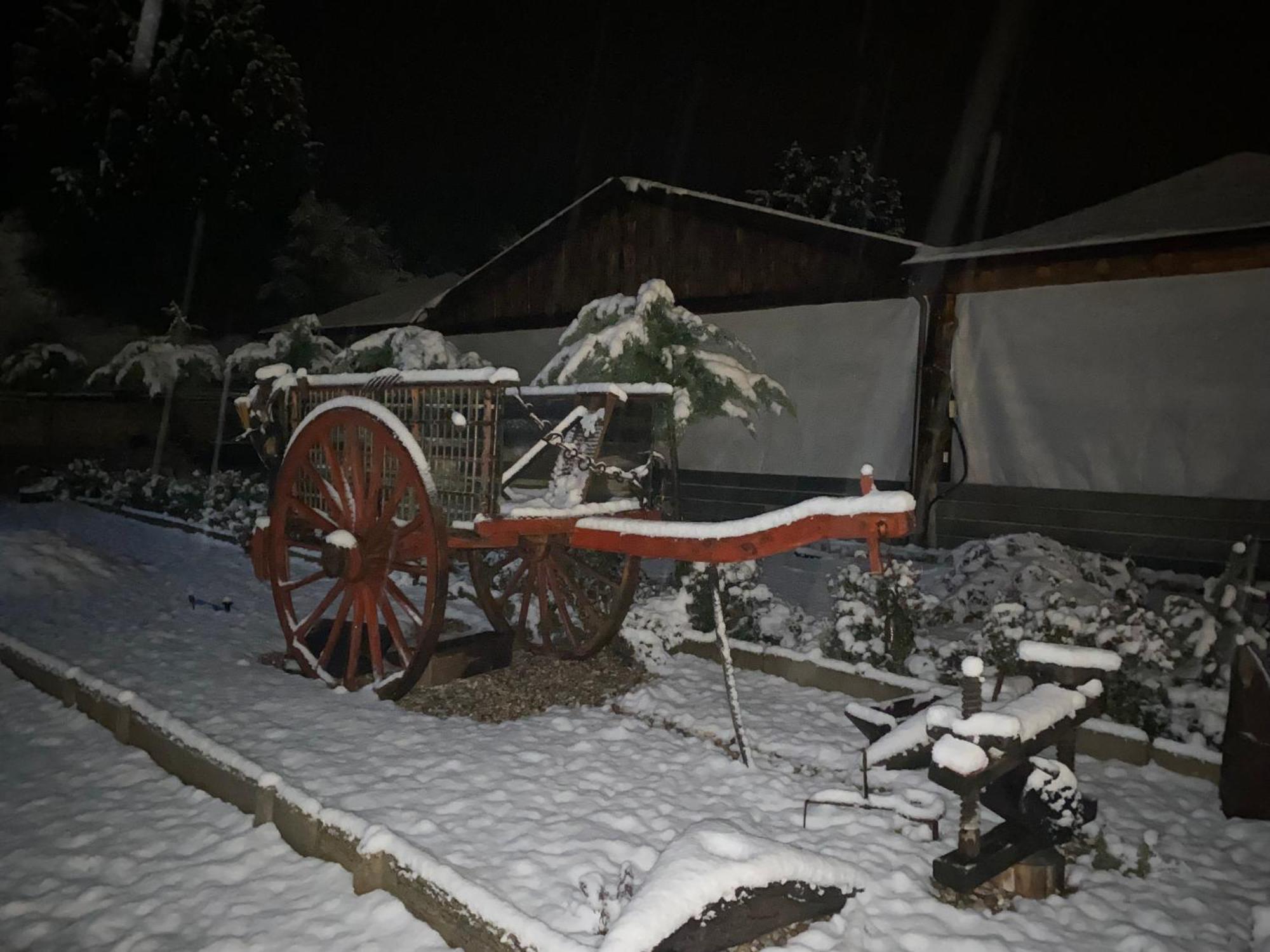 Rural Bagh *