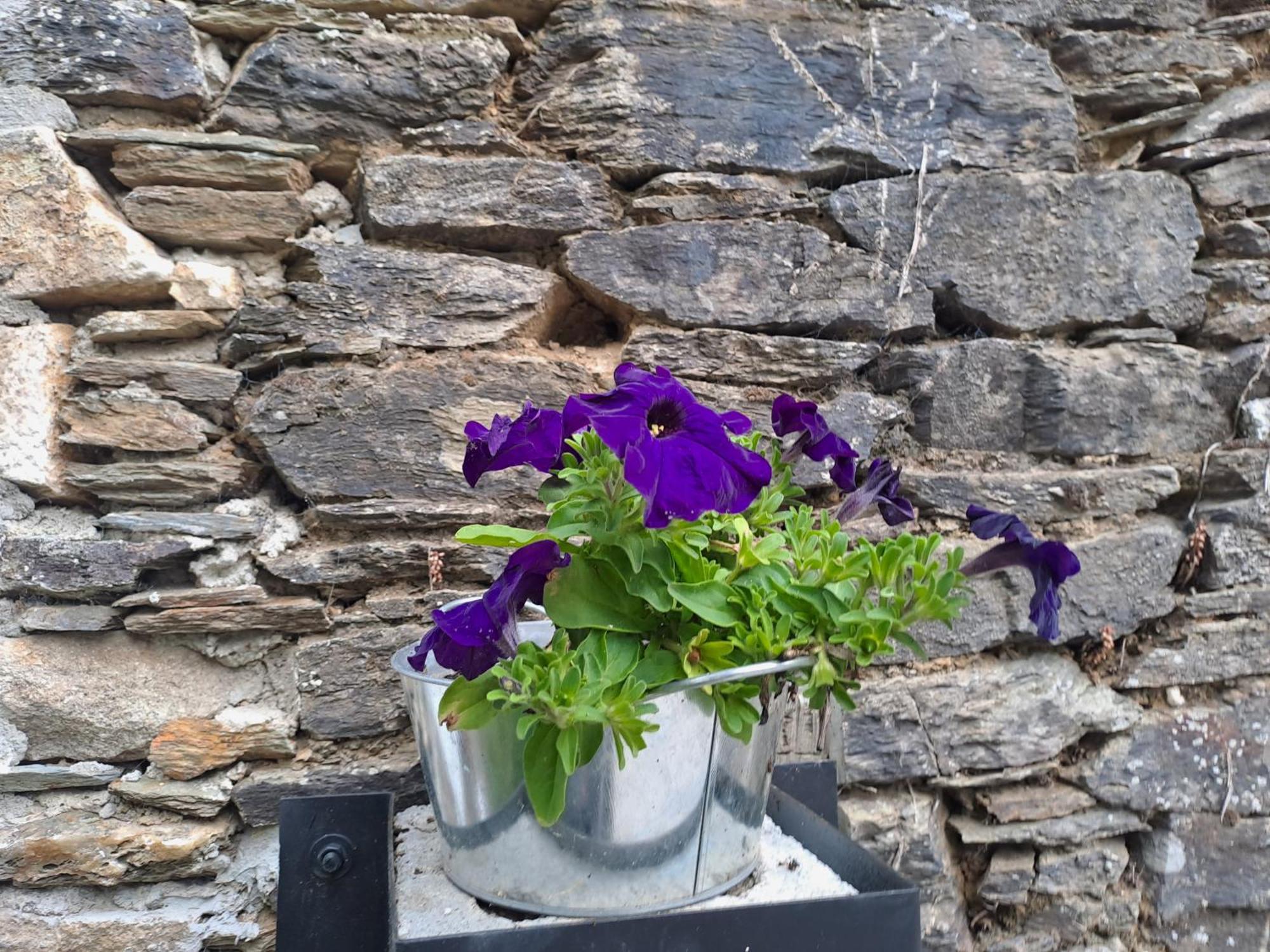 Apartamento Turístico Rural Casa Chaín Lugo
