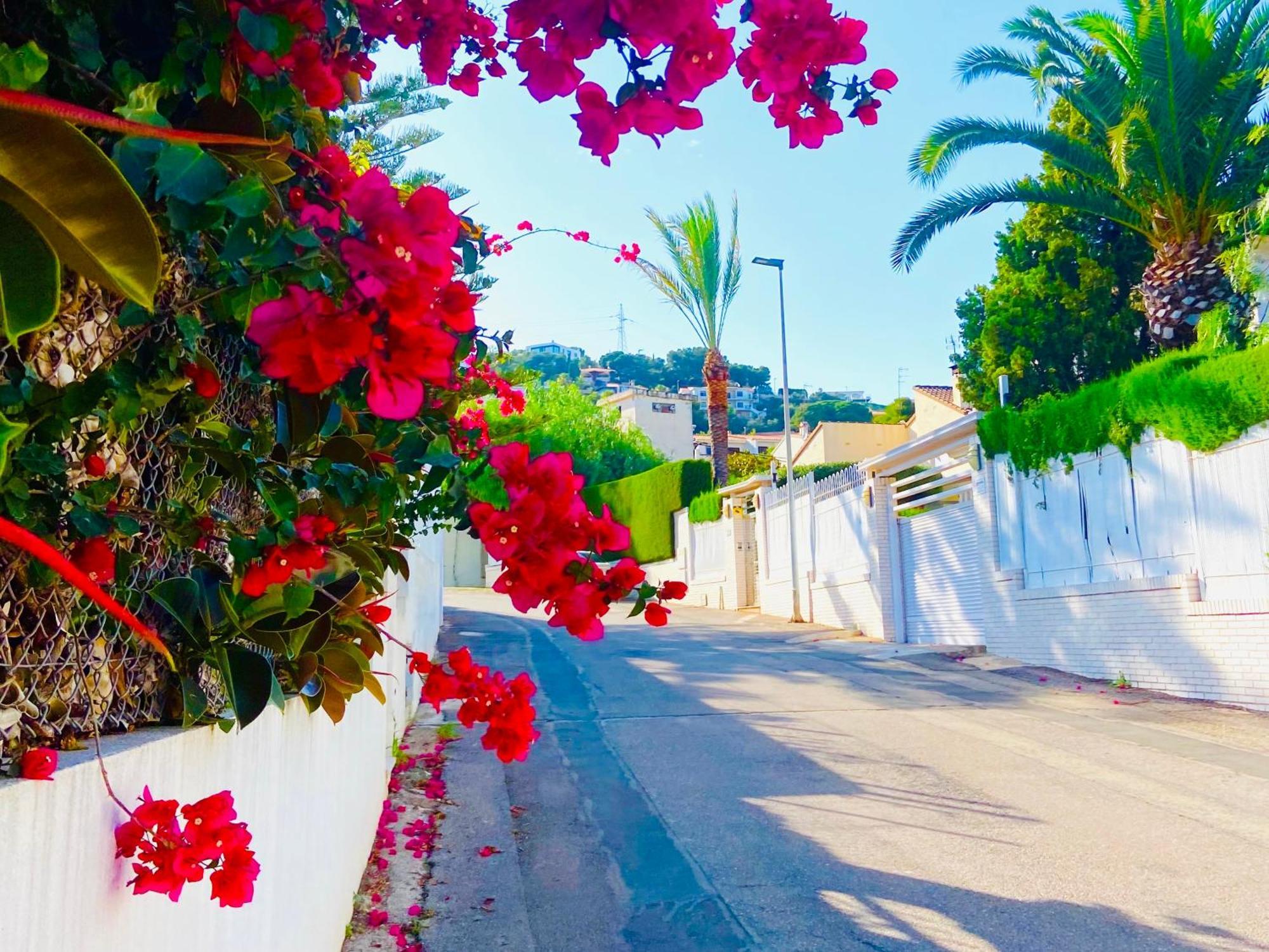 Turyva Tarongers 8 - Cozy With Terrace & Parking Near Peniscola