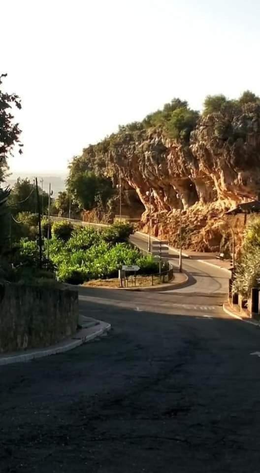 La Buganvilla, Descanso Entre Olivares Holiday home