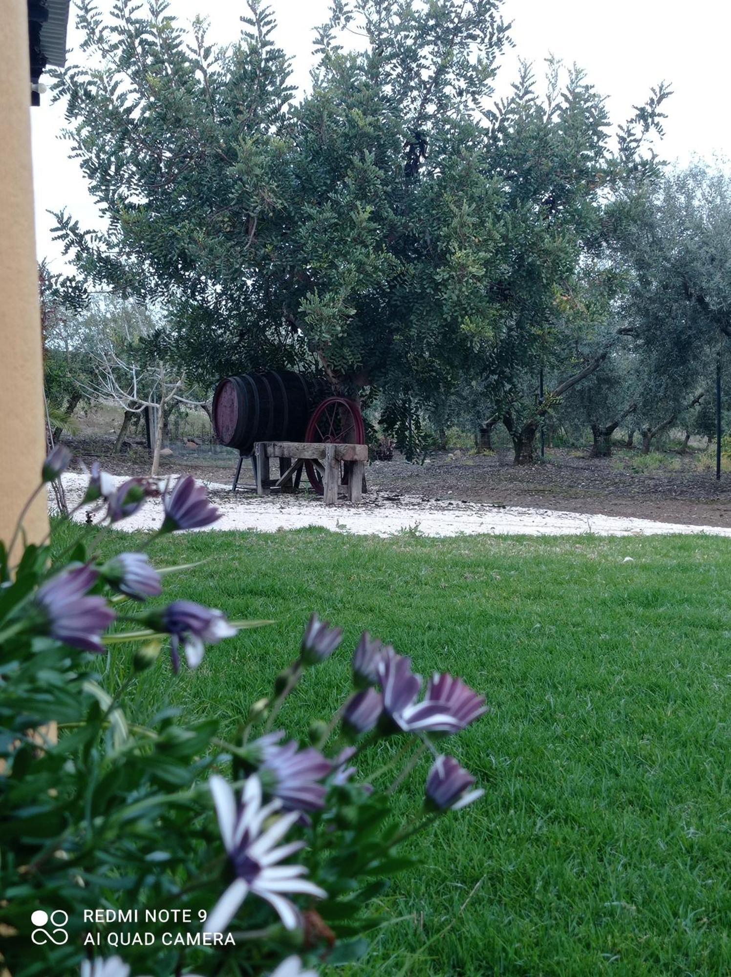 Holiday home La Buganvilla, Descanso Entre Olivares