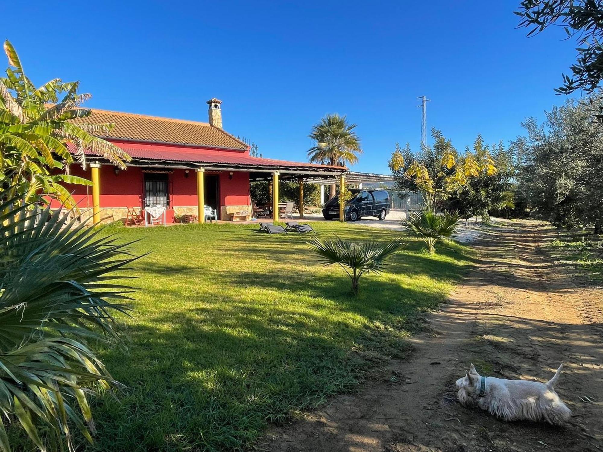 La Buganvilla, Descanso Entre Olivares *