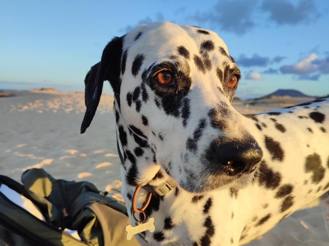 Fuerteventura Tikuna