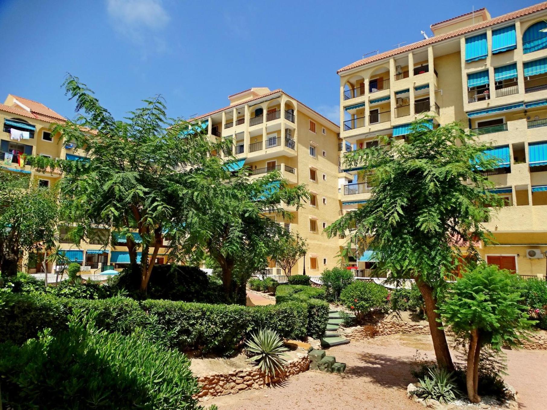 Limon - Viñamar 3 La Mata La Mata (Torrevieja)