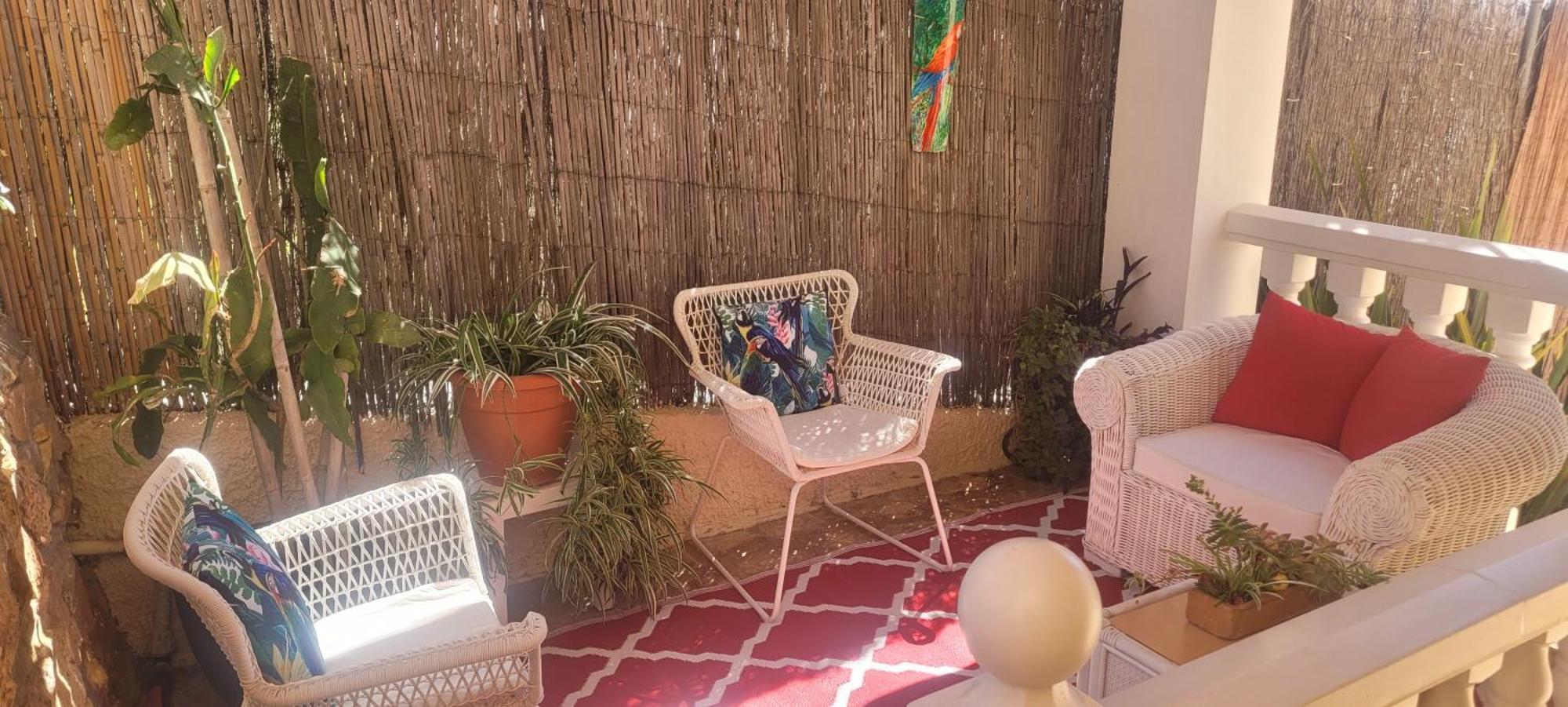 El Gecko Сasa de vacaciones