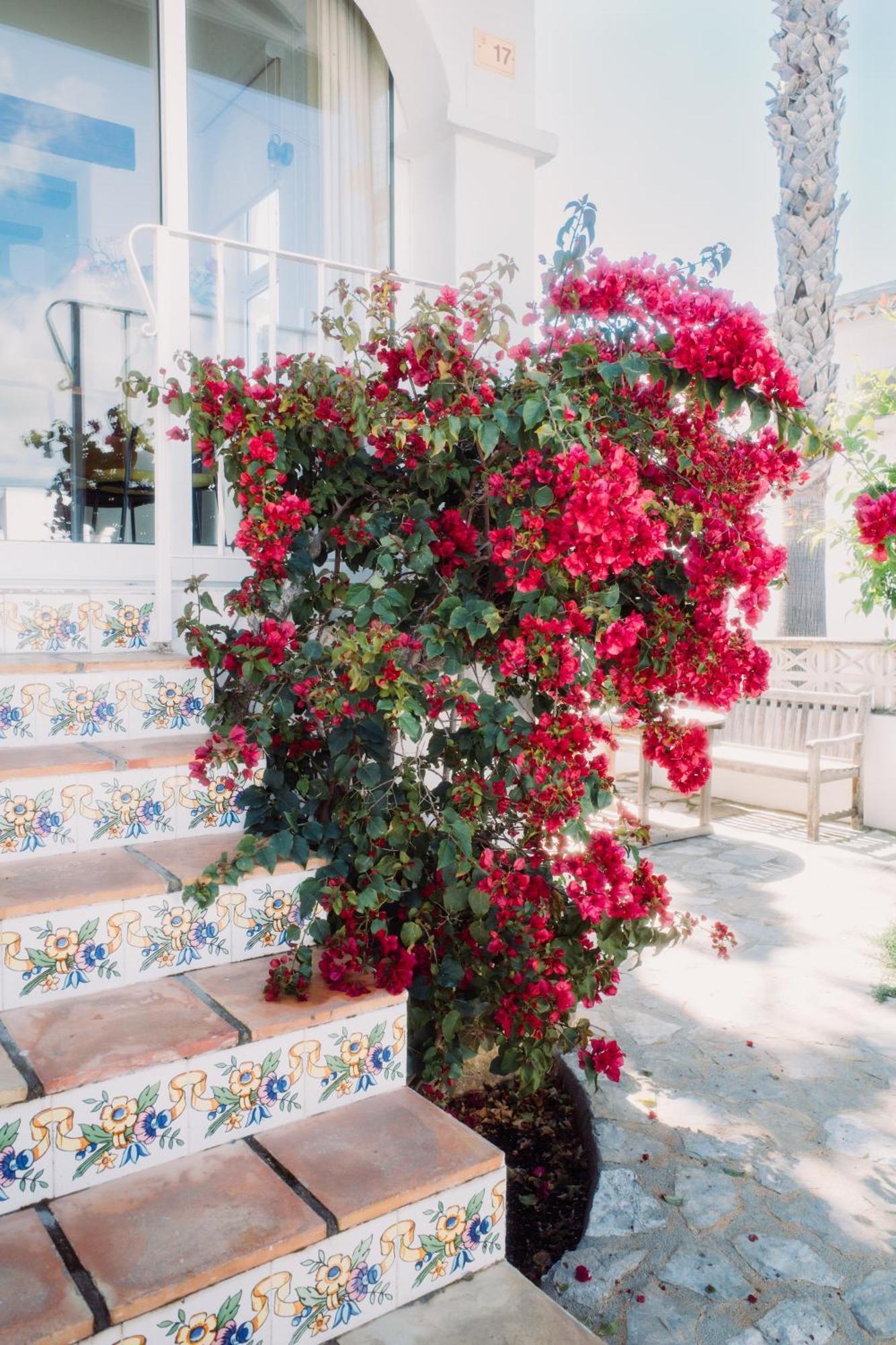 Casa Bianca 2
