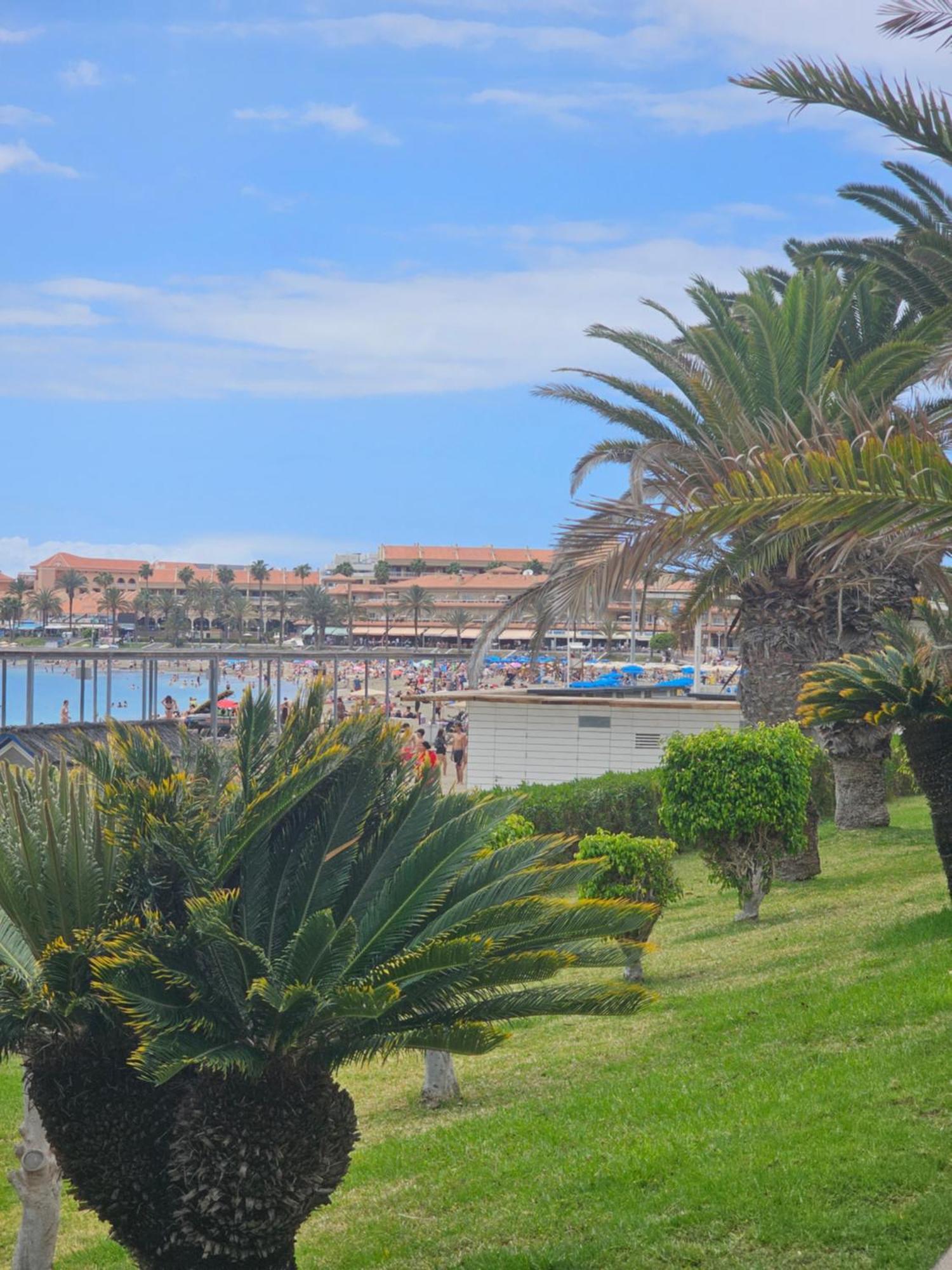 The Heights 2 Bedroom * Los Cristianos (Tenerife)