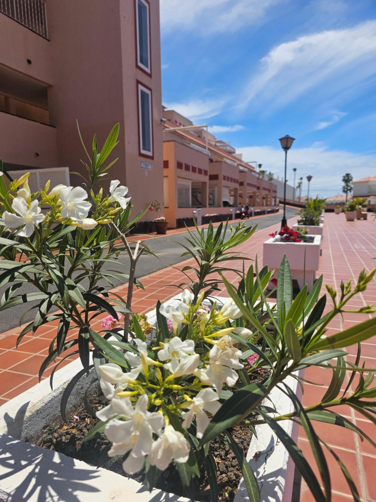 Apartment The Heights 2 Bedroom Los Cristianos (Tenerife)