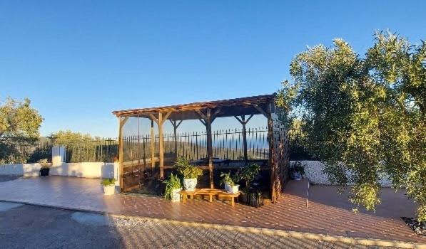 Cortijo Blanco *