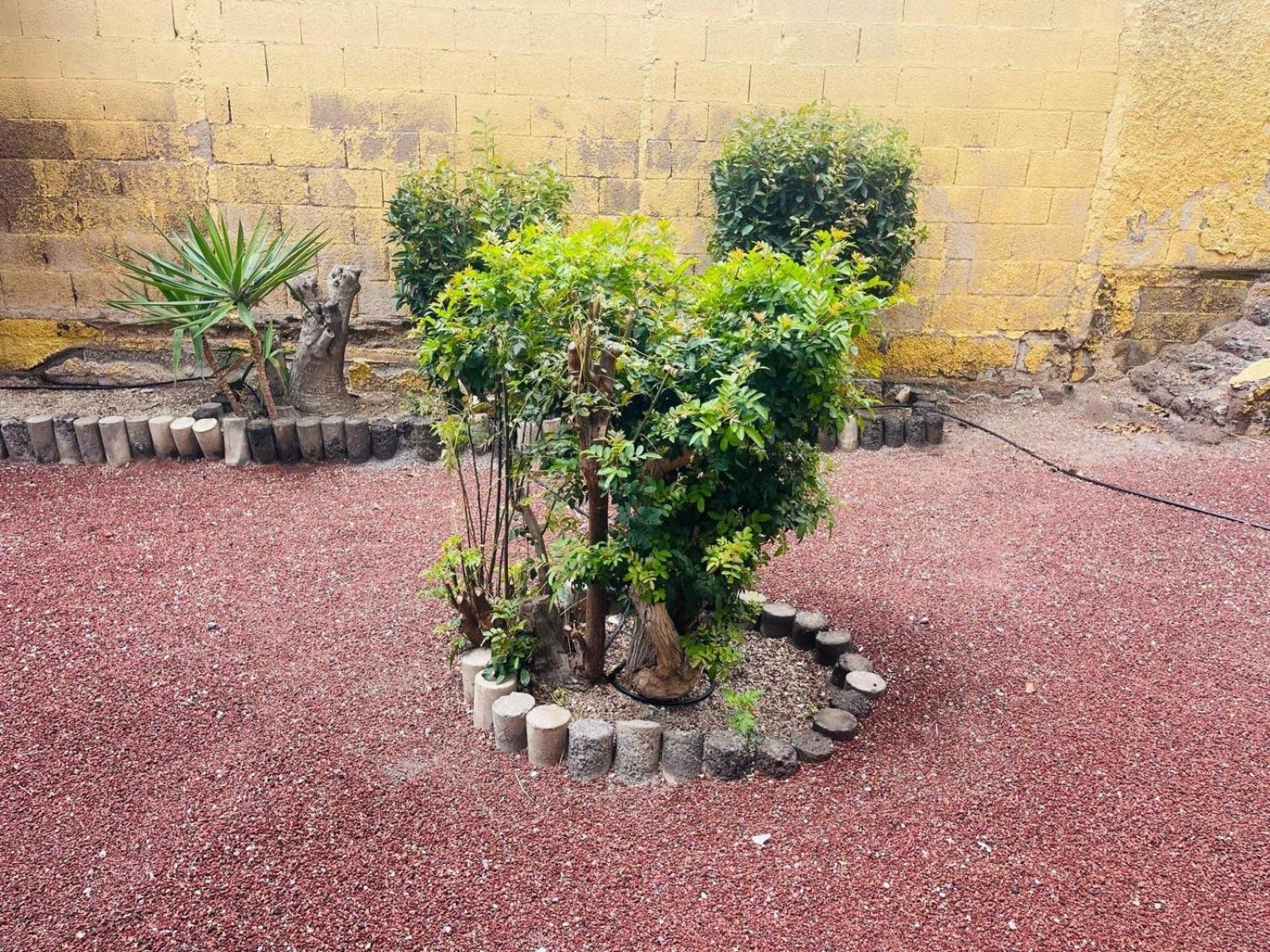 Apartamento Cozy 2-bed & Sofa-bed In Cristianos *