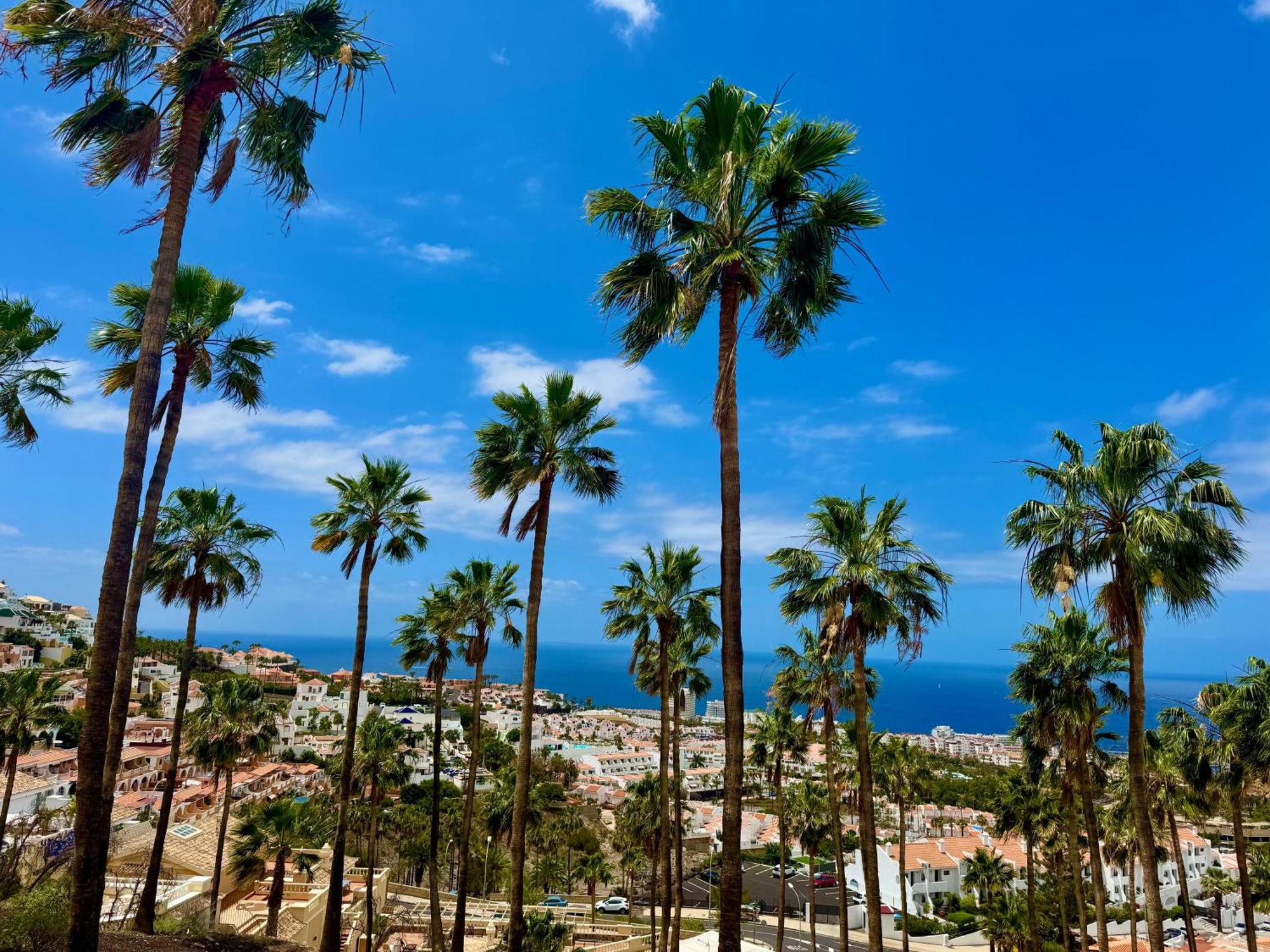 Apartment San Eugenio Charming Renovated Tenerife Costa Adeje (Tenerife)