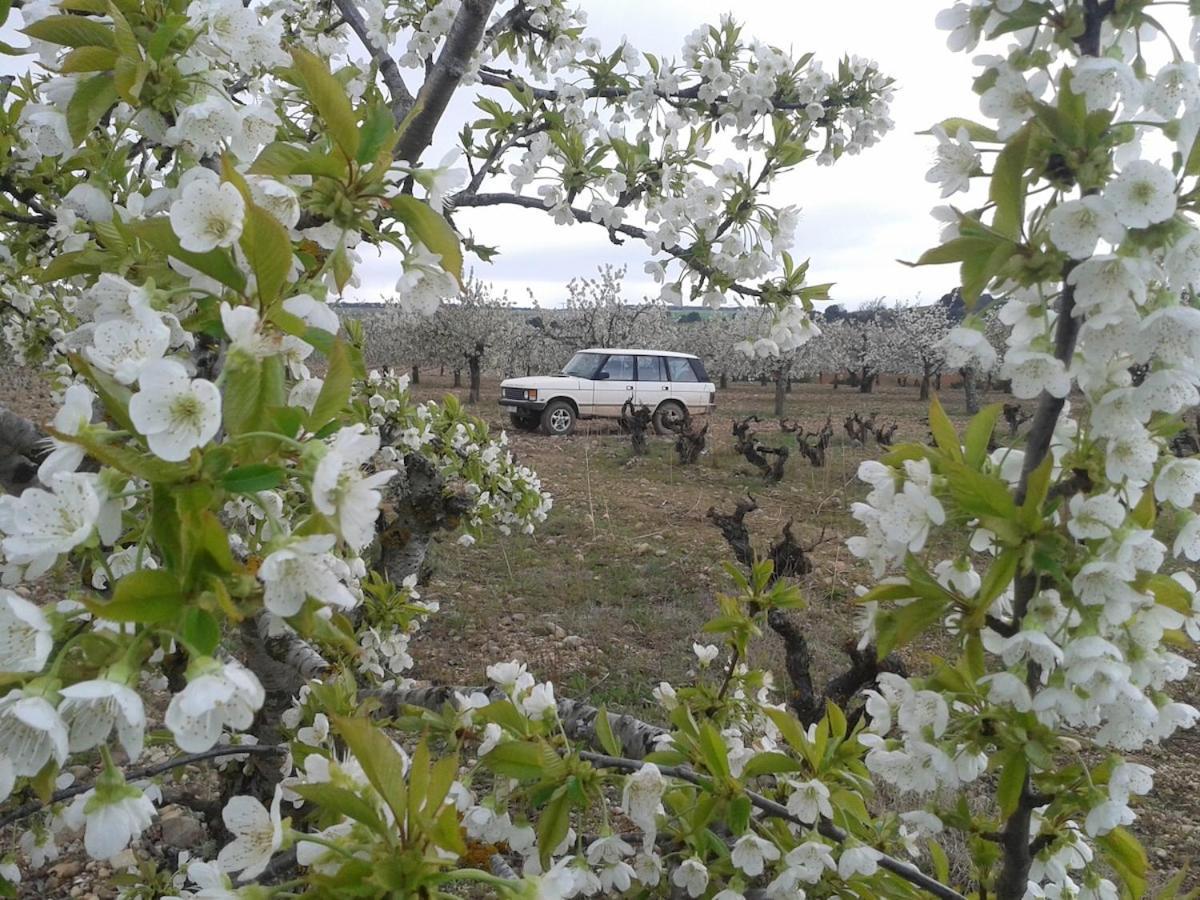 En * Lerma