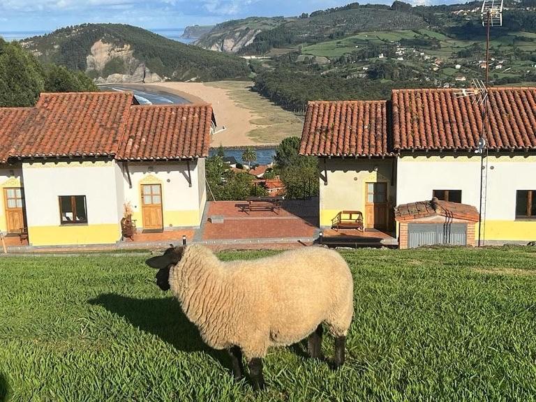 Monterodiles Apartamento Liñero