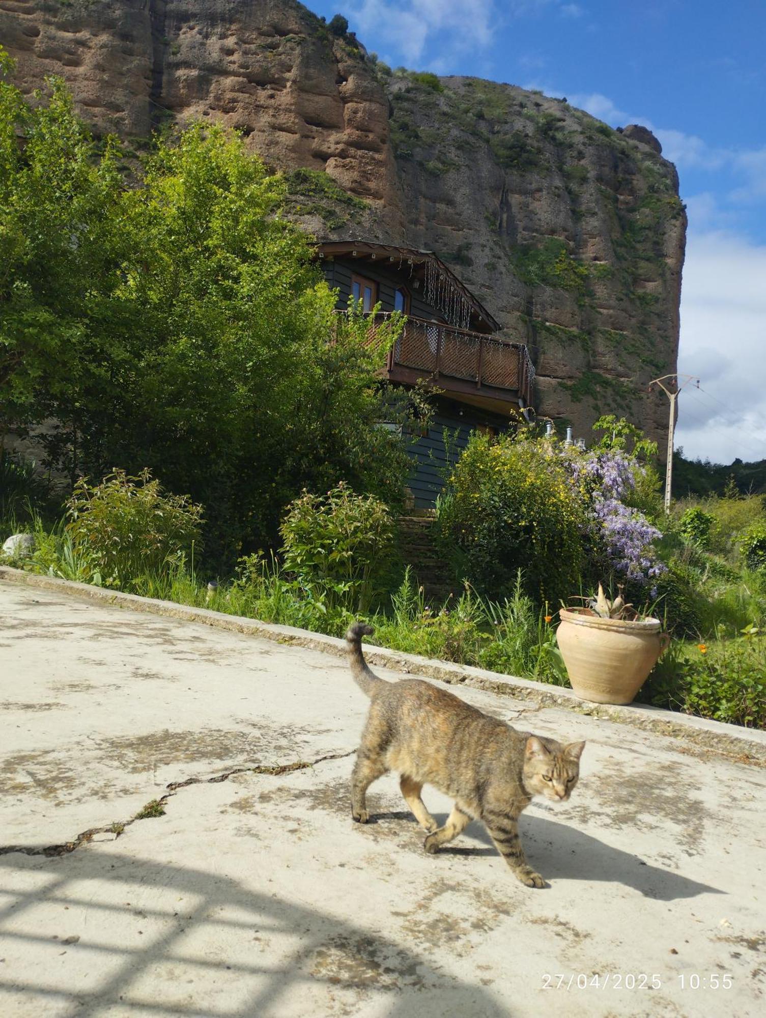 Bed & Breakfast La Casa Islallana